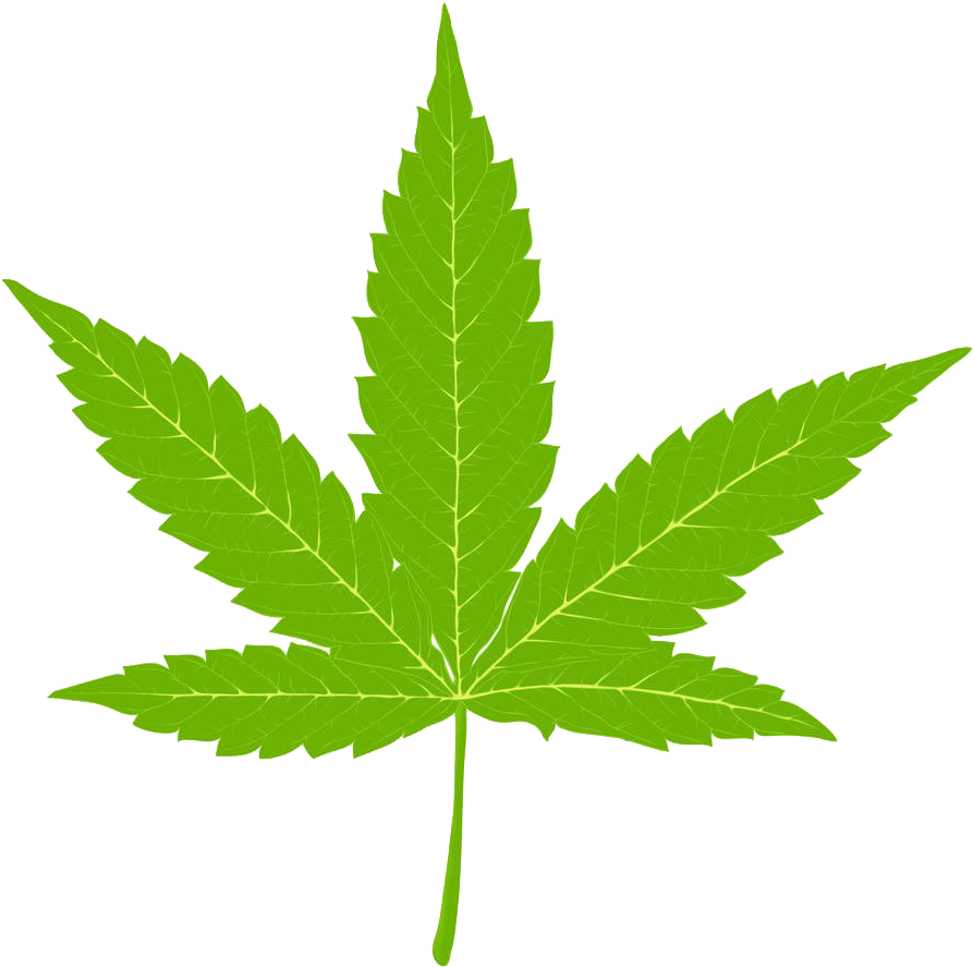 Cannabis Hemp Marijuana Clip Art - Cannabis Hemp Marijuana Clip Art (1000x1000)