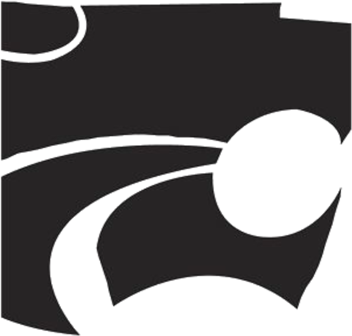 D - Destiny Christian Wildcats (720x720)