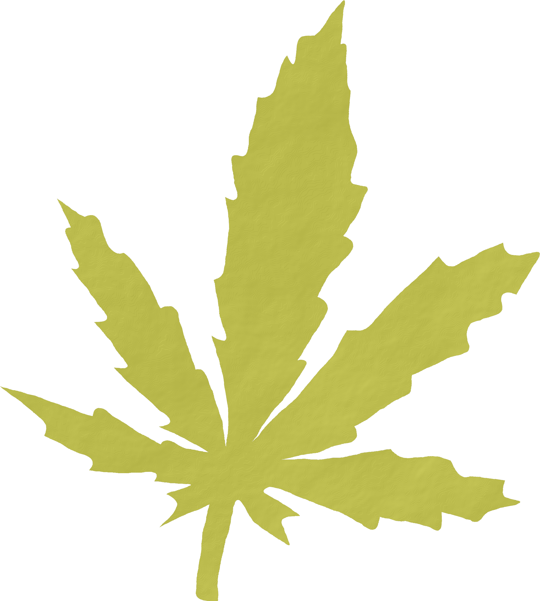 Cannabis Smoking Medical Cannabis Legality Of Cannabis - Cannabis Smoking Medical Cannabis Legality Of Cannabis (2129x2369)