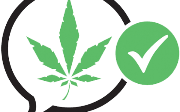 New Board For Cannabis Party - Legalize Marijuana Party Nz (600x375)