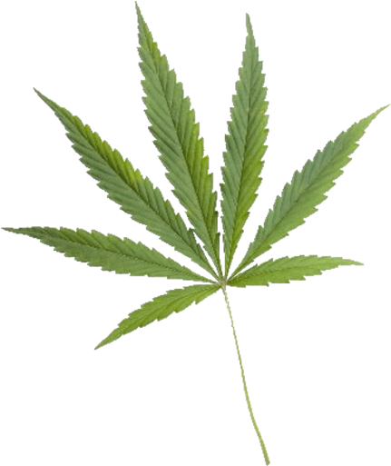 Medical Cannabis Hemp Clip Art - Medical Cannabis Hemp Clip Art (512x512)