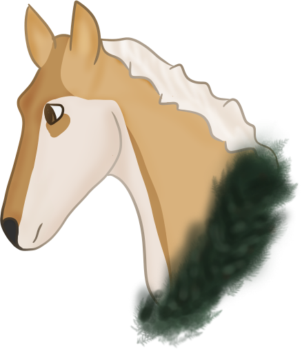 12 Days Of Christmas - Colt (438x506)