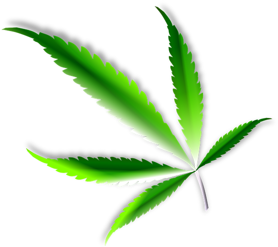 Marijuana Clipart 22, - Cannabis Leaf (723x720)