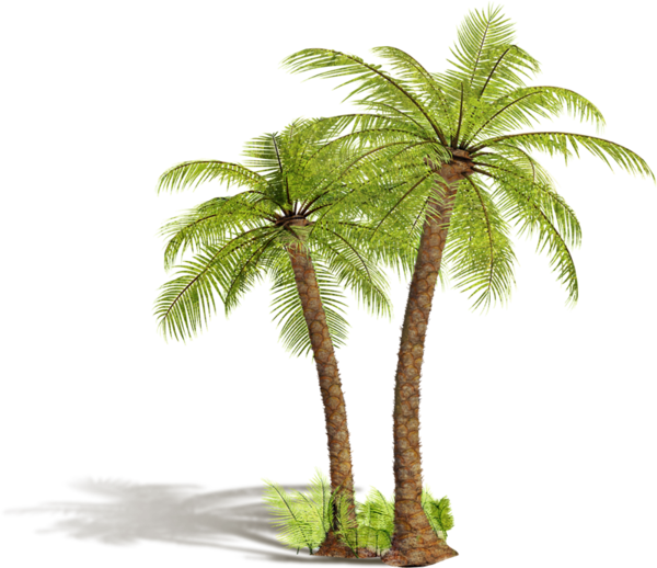 Arbre,tubes,png - Arbre Png (600x518)
