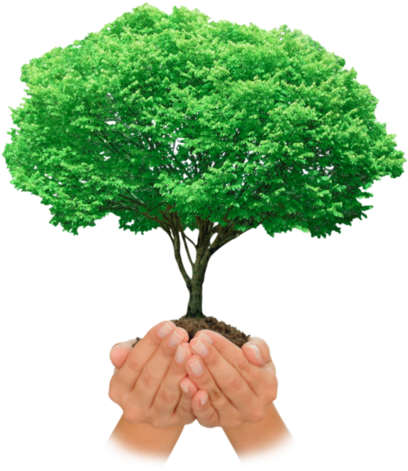 Resultado De Imagen De Siembra Un Rbol - Train Through The Video Game (480x500)