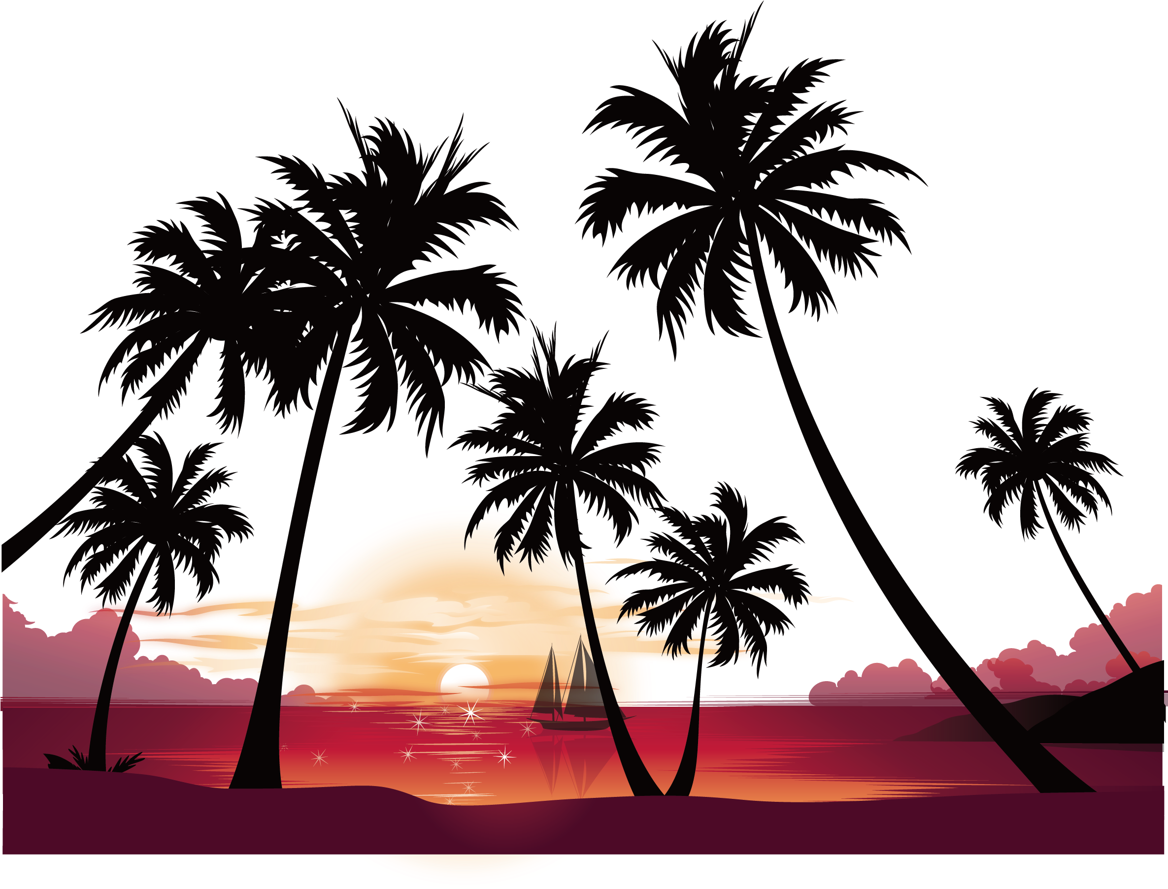 Puesta De Sol De Vídeo De Alta Definición De La Imagen - Palm Tree Sunset Background (2370x1907)