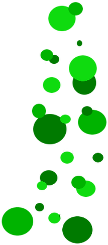 The Botany Bay,420,cannabis Law,kentucky Cannabis,kentucky - Head Shop (247x530)