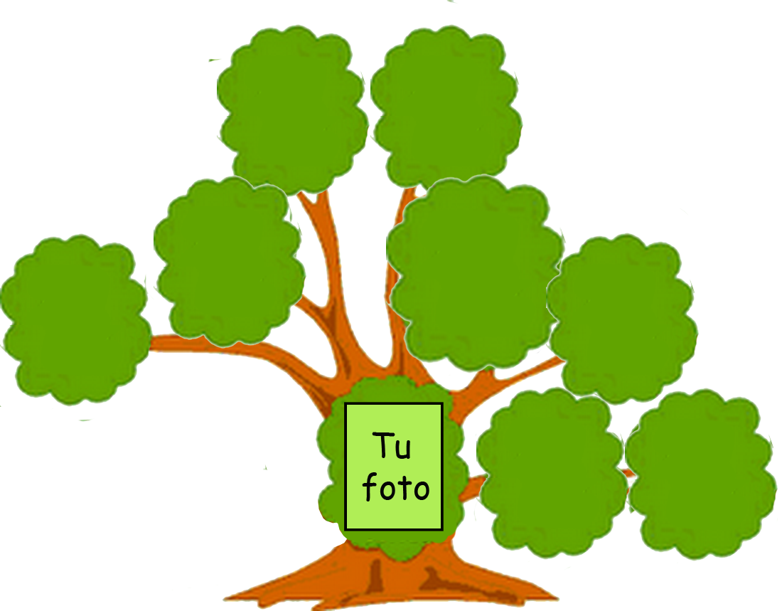 You Might Also Like - Arbol Genealogico Para Dibujar (1100x859)