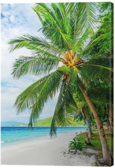 Cuadro En Lienzo Árbol Verde En La Playa De Arena Blanca - Caribbean (400x400)