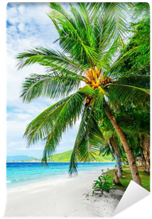 Fotomural Árbol Verde En La Playa De Arena Blanca • - Caribbean (400x400)