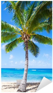 Vinilo Pixerstick Árbol De Palma De Coco Con La Silla - Albero Palma Da Cocco (400x400)