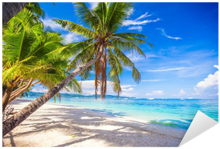 Vinilo Pixerstick Árbol De La Palma De Coco En La Playa - Solar Camping Douche | Solar Shower, Vouwbare Douche, (400x400)