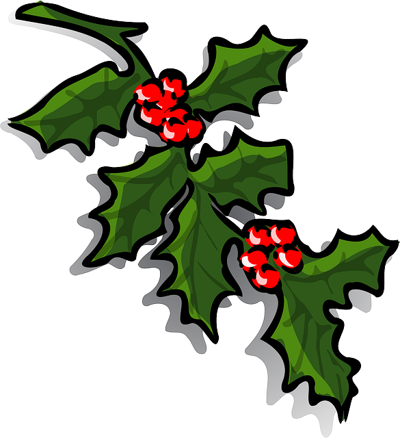 Common Holly Clip Art - Common Holly Clip Art (585x640)