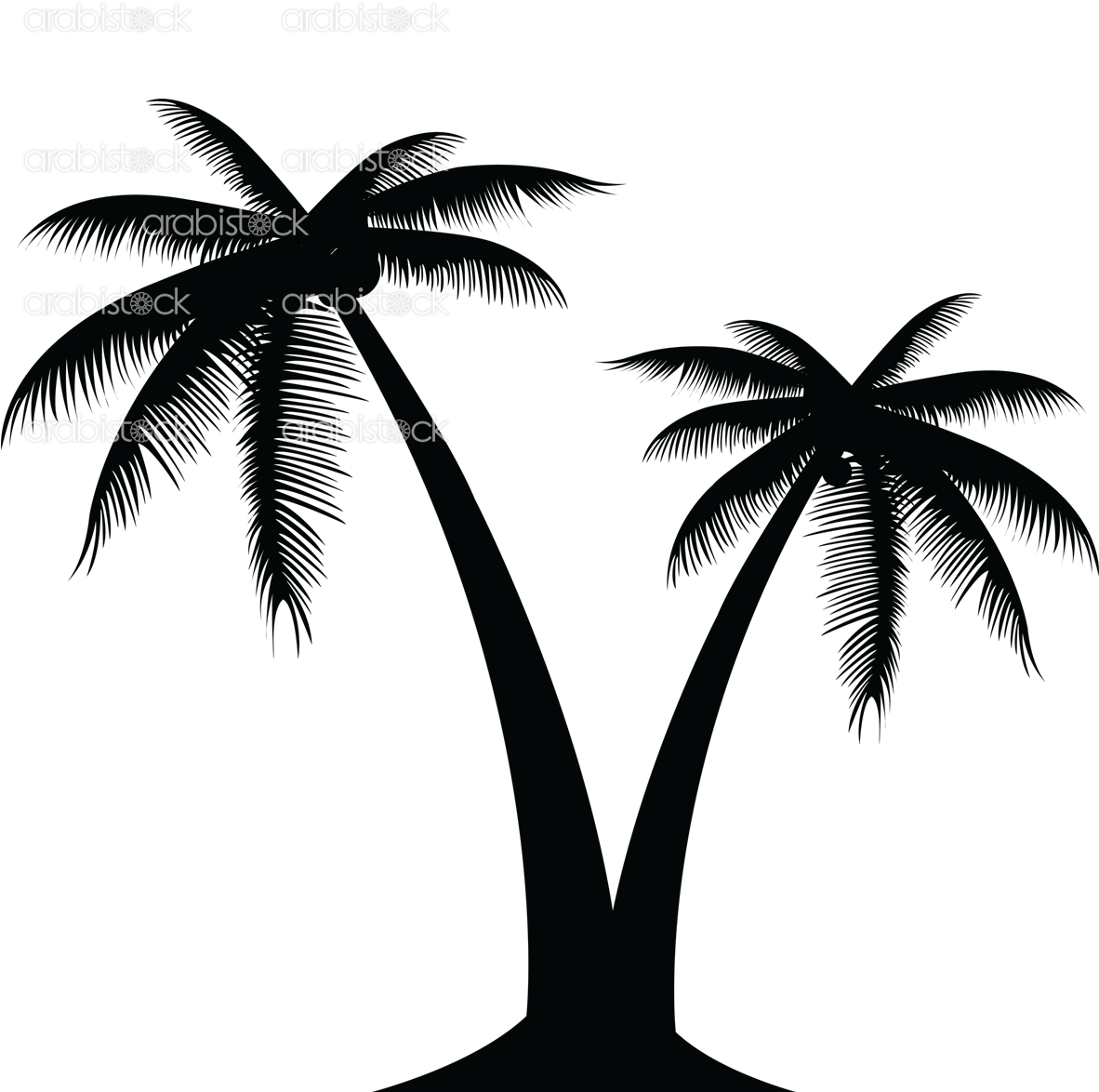 Palm Tree - Transparent Background Palm Tree Png (1181x1181)