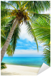 Vinilo Pixerstick Árbol Verde En Una Playa De Arena - Simplex Emotions Weekly Beach 500213 D/f (400x400)