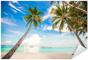 Vinilo Pixerstick Árbol De La Palma De Coco En La Playa - Coconut (400x400)