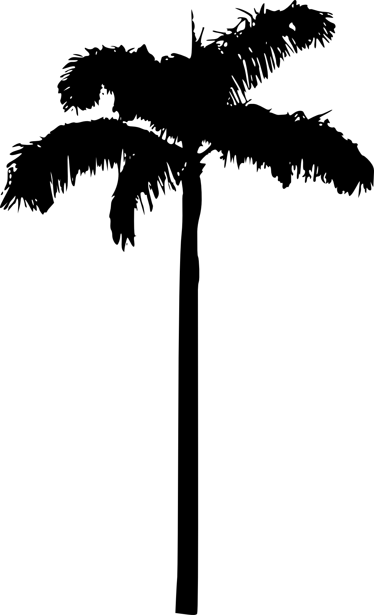 Free Download - Palm Tree Without Background (1217x2000)