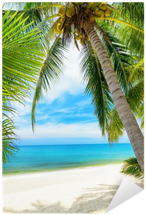 Vinilo Pixerstick Árbol Verde En Una Playa De Arena - Studio Background 6 X 8 (400x400)