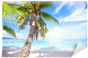 Fotomural Árbol De La Palma De Coco En La Playa De - Caribbean (400x400)