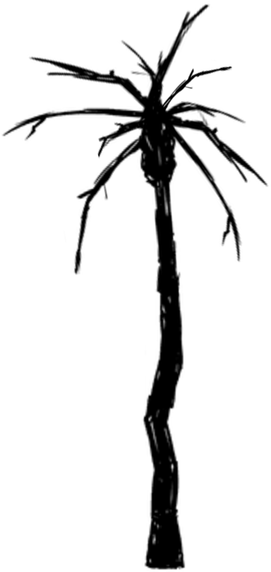 Palm Tree Burnt - Wiki (562x1165)