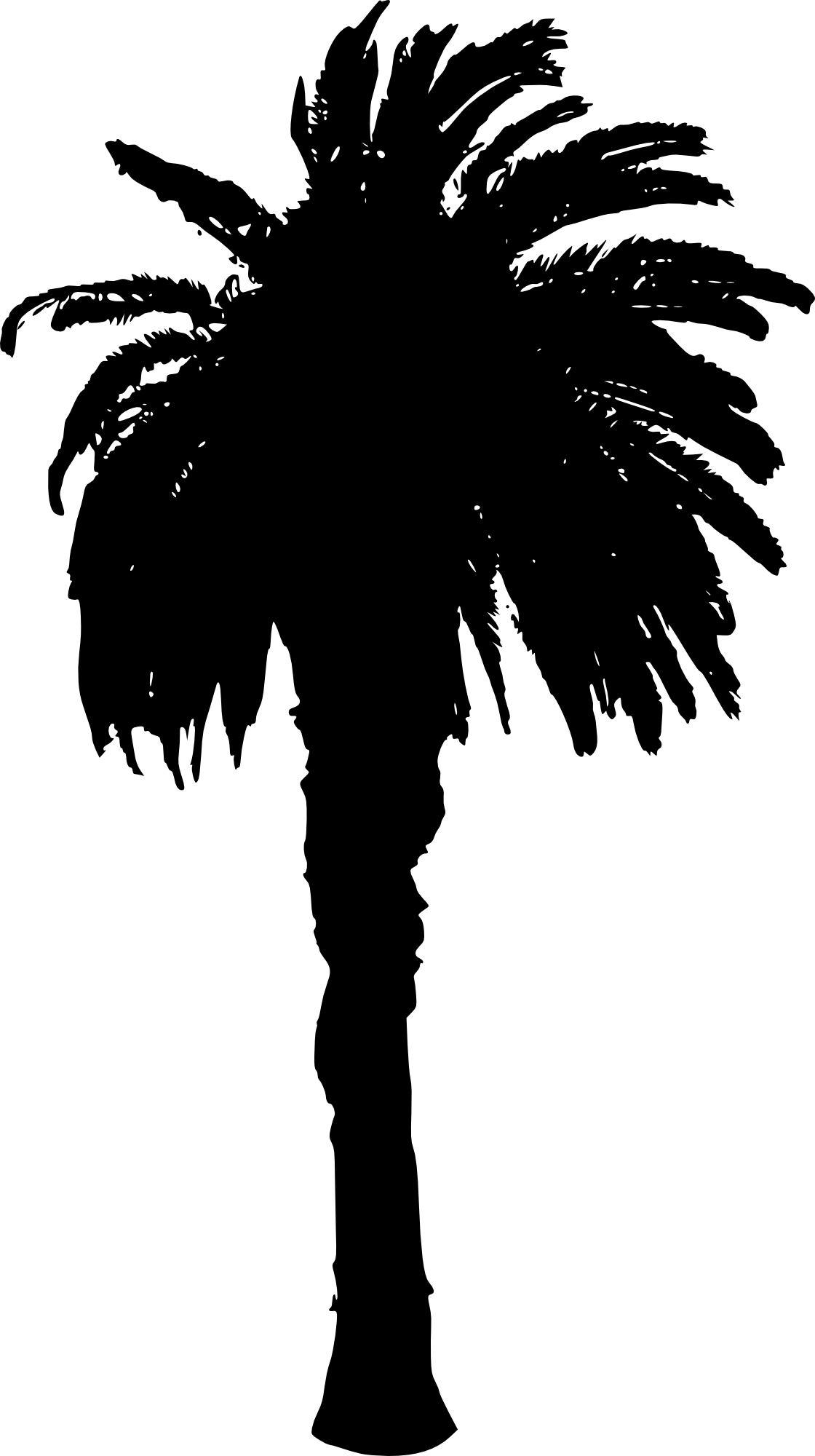 Free Download - Palm Trees (1120x2000)