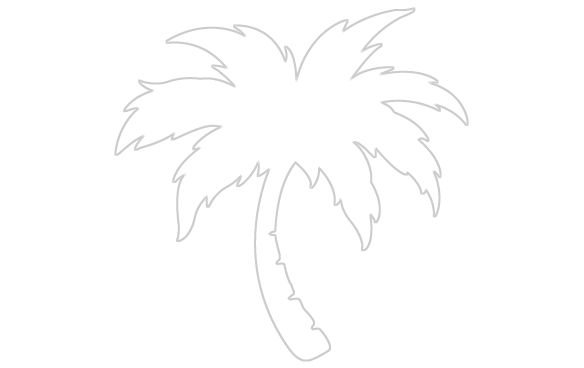 Clouds And Palm Trees - Logo Palm Tree Png (584x368)