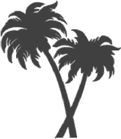 Palm Trees - Palm Tree Icon Transparent (500x500)