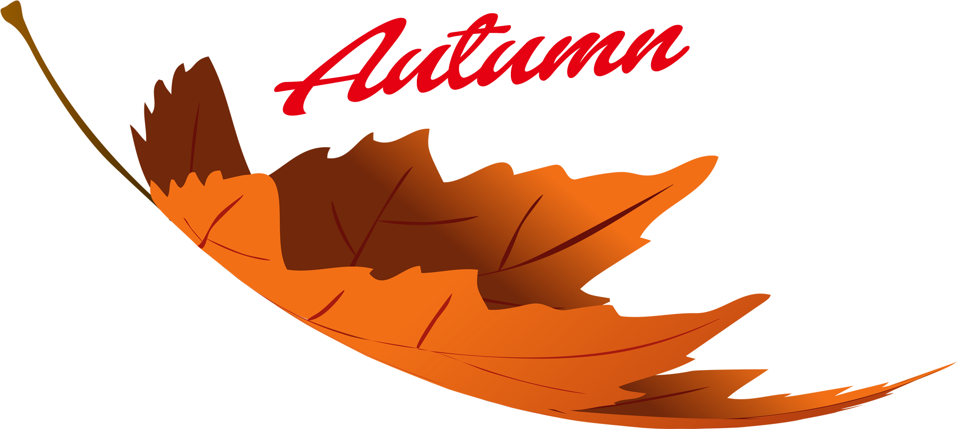 Autumn Leaves Png Image - Portable Network Graphics (1920x1200)
