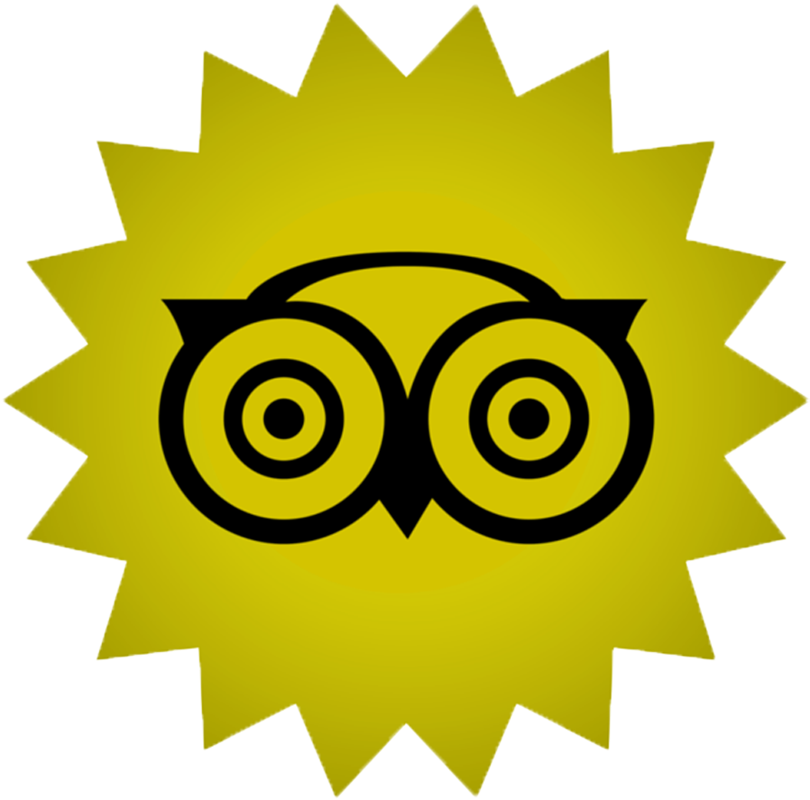 Facebook Twitter Pinterest Instagram Youtube Yelp Tripadvisor - Switch Words For Losing Weight (1100x1100)