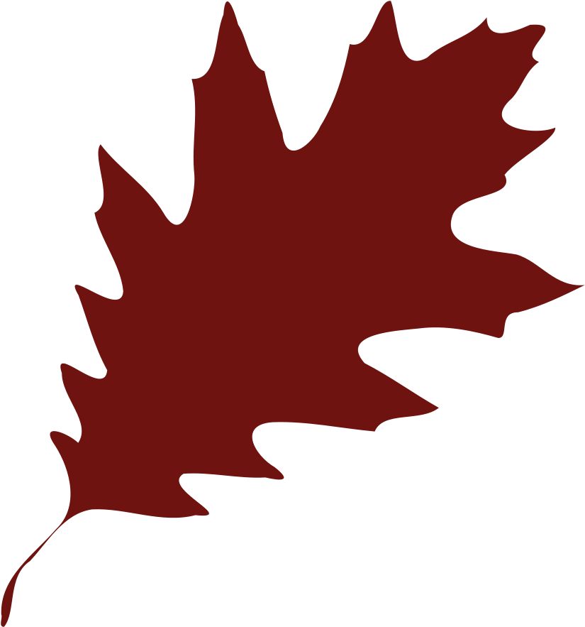 Free Oak Leaf Clipart Pictures Leaf - Custom Home (900x900)