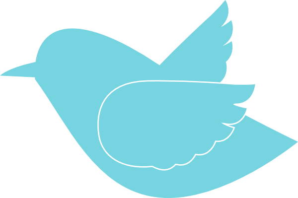Turquoise Clipart Bird Silhouette - Twitter New Logo Transparent (600x399)