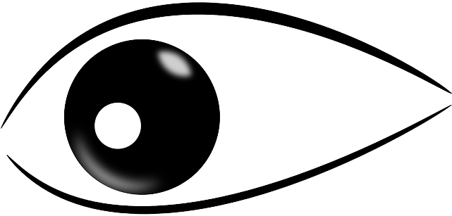 Iris Pupils, Eye, Look, Sight, Watch, Observe, Iris - Imagenes De Un Ojo Png (640x320)