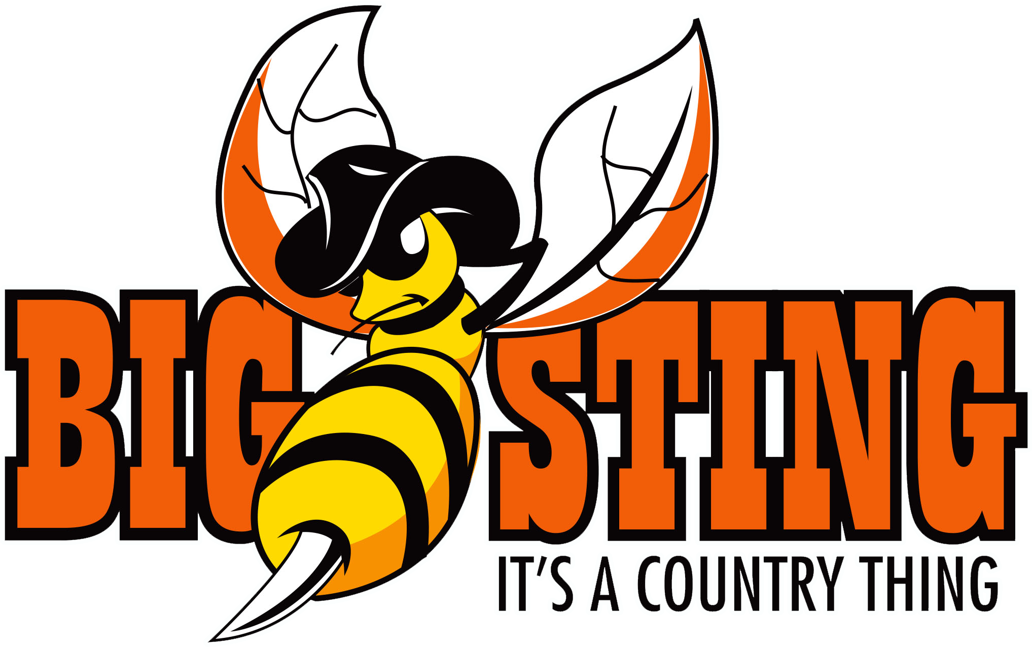 The Big Sting It's A Country Thing, James Otto, Craig - Music Festival (2034x1305)