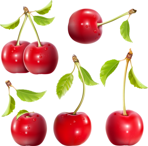 Clip Art - Free Vector Cherry (500x494)