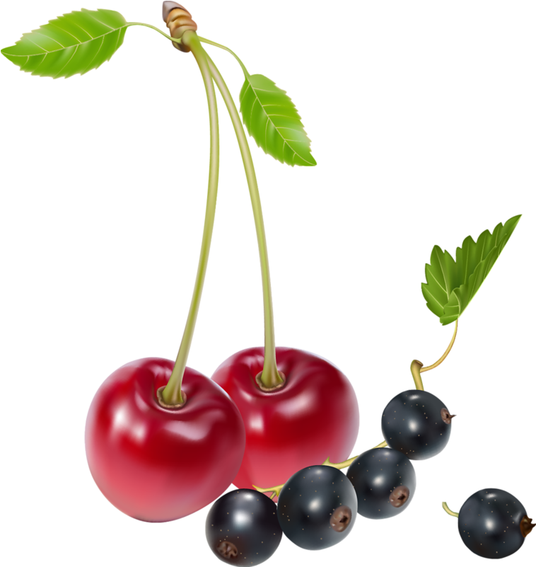 Cartoon Berries Pattern - Fixing Hiatus Hernia: A Natural Hiatus Hernia Diet (769x814)