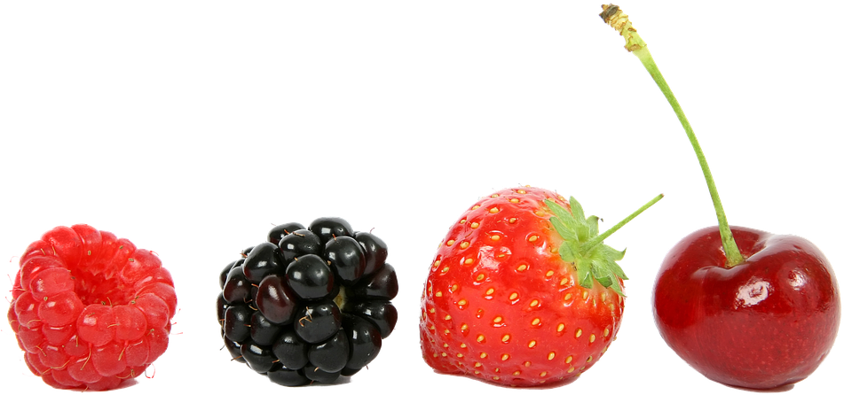 Blackberries Cliparts 11, - Aggregate Fruit (960x463)