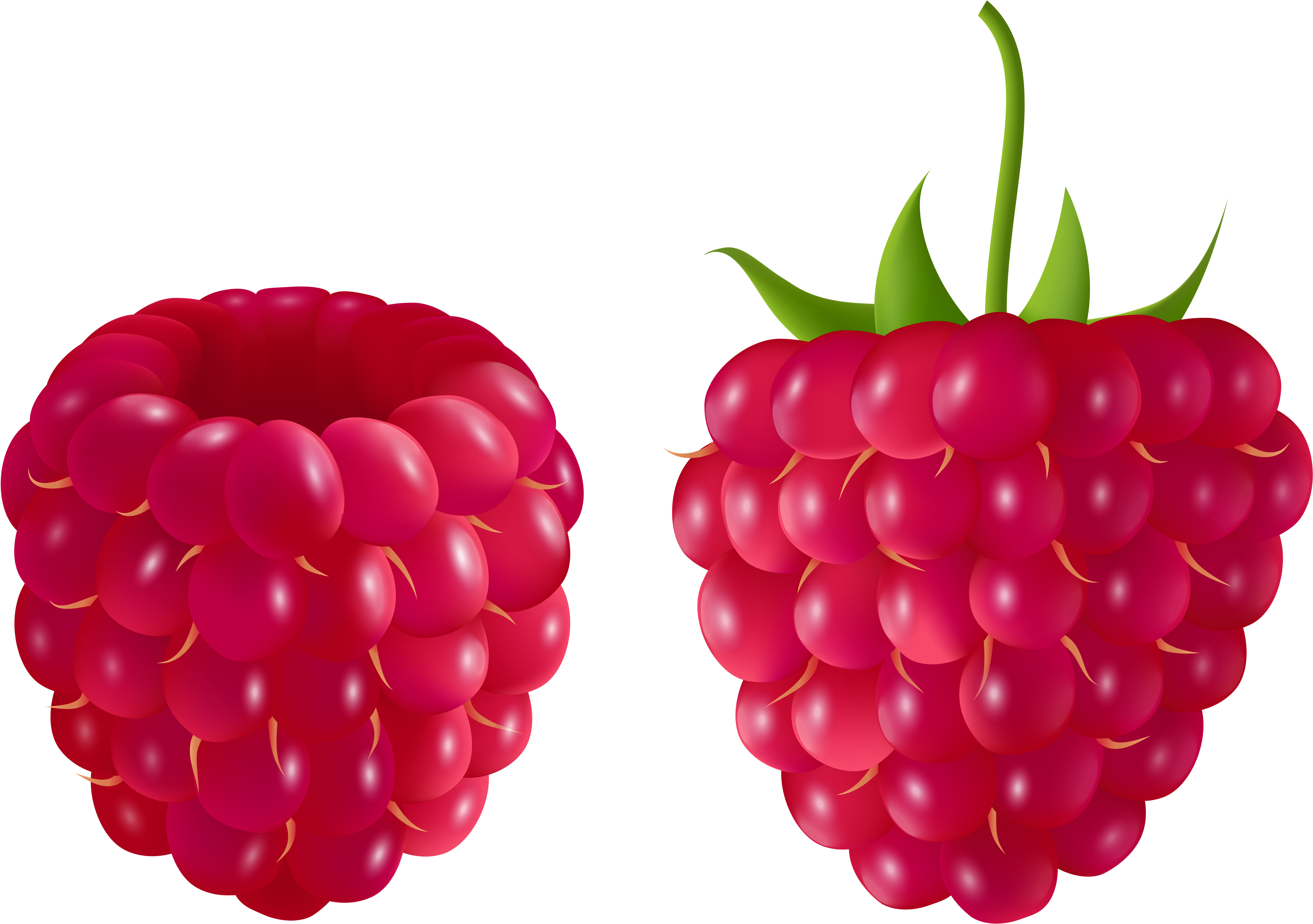 Berry Clipart Blue Raspberry - Clip Art Raspberry - (4590x3218) Png Clipart D...