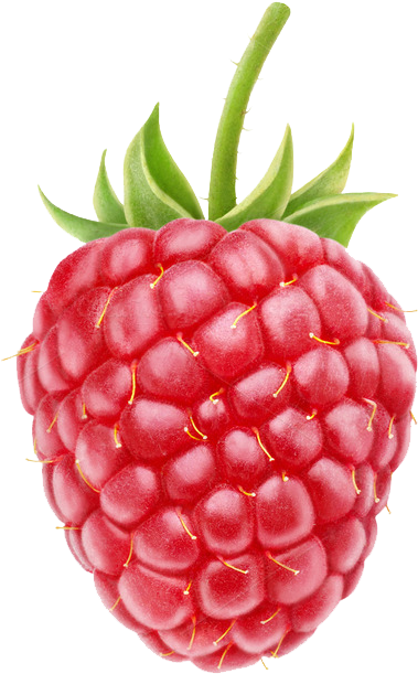 Red Berries Clip Art - Raspberry Png (680x735)