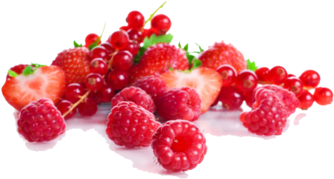Berries Png Image - Berries Png (500x292)