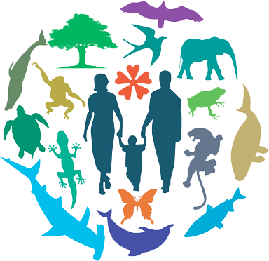 Each Year, 22 May Is Celebrated As World Biodiversity - Biodiversity And International Trade (400x450)