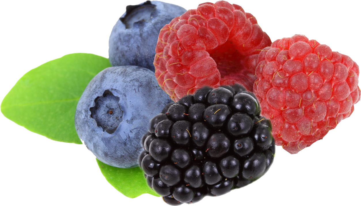 Fruit - Berries Clipart (1598x1232)