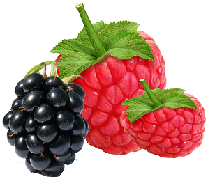 Raspberries Raspberry, Berry, Raspberrie, Red, Fruit, - Source Naturals - Vitamin B12 Sublingual 2000 Mcg. (640x320)