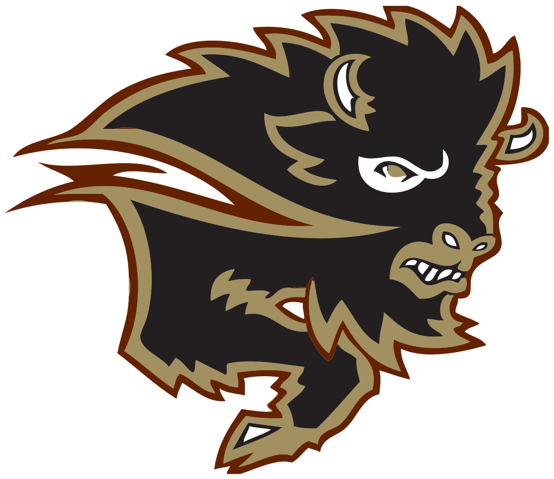 University Of Manitoba Bisons (1200x1024)