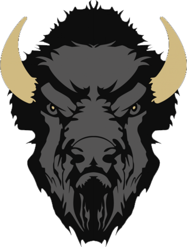 Sae Baja - Decoration Vinyl Sticker Vinyl Bull Decoration Motorbike (600x791)