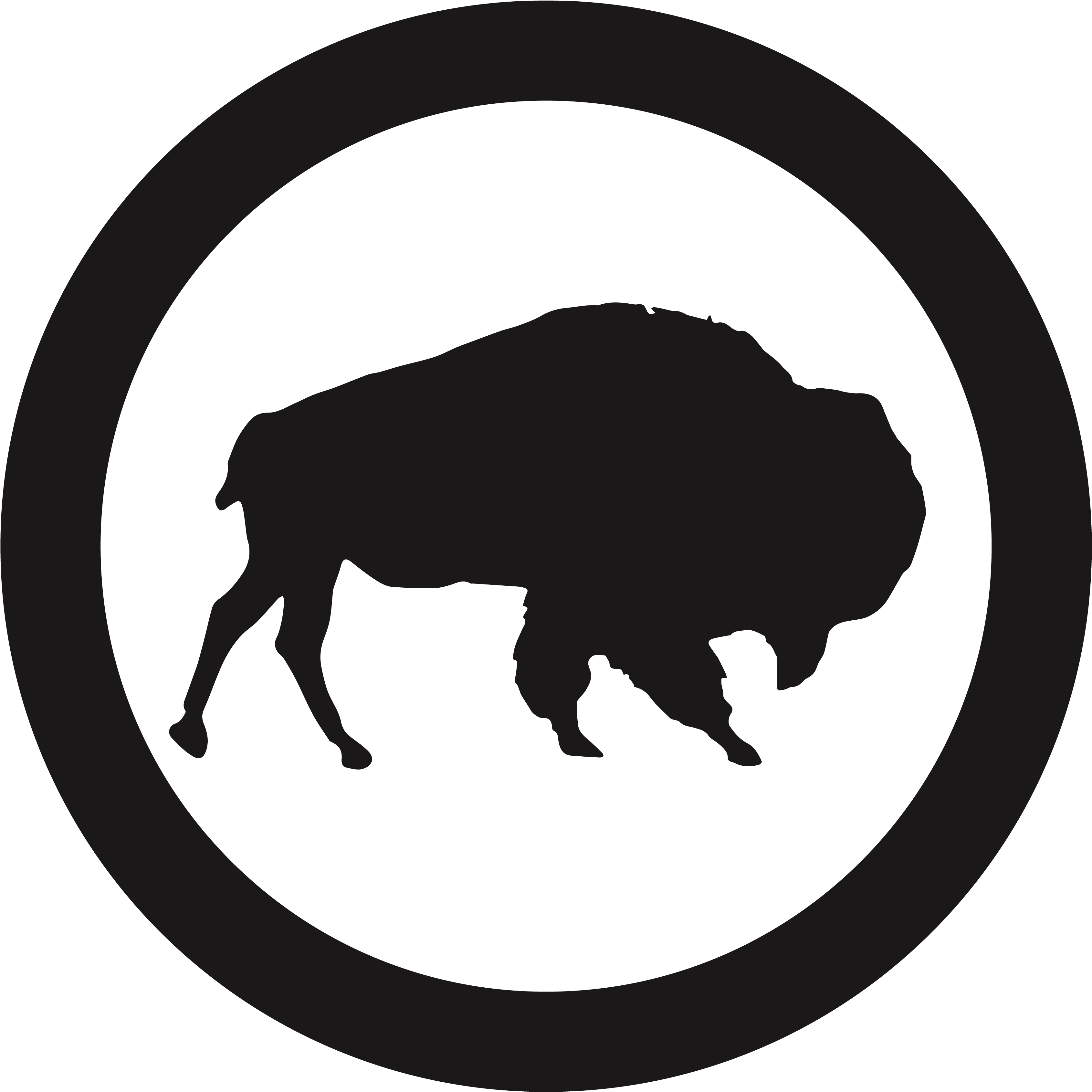 Bison Bay - Mat (3600x3600)