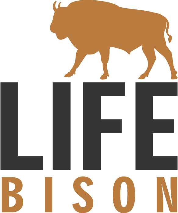 More Information About The Life-bison Project Can Be - More Information About The Life-bison Project Can Be (584x700)