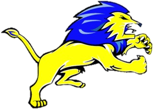 Erlanger Lions1 - Sri Lanka Premier League 2011 (523x417)