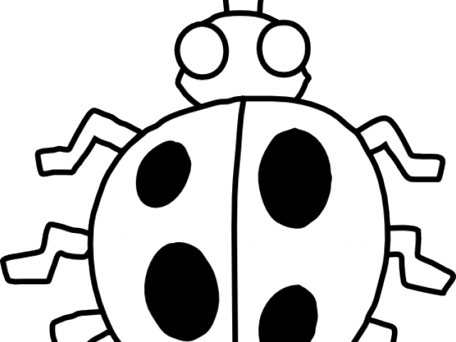 Dead Bug Cliparts - Bug Clipart Black And White (640x480)