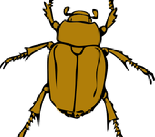 Dead Bug Cliparts - Beetle Bug (640x480)