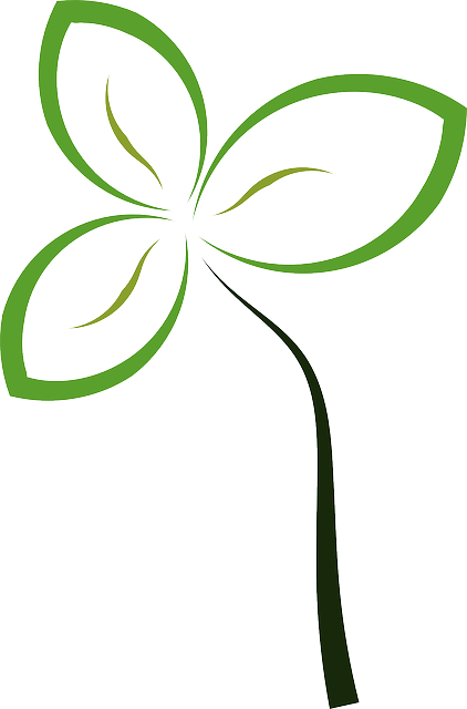 Sprout Clipart (422x640)
